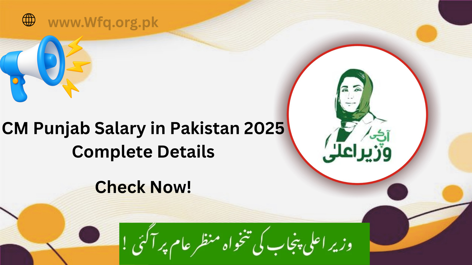 CM Punjab Salary in Pakistan 2025 Complete Details